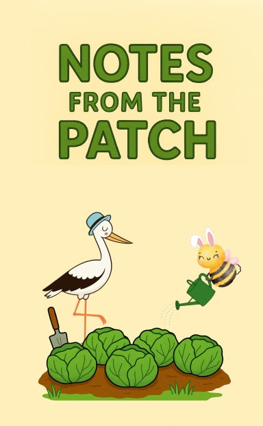 Book Cover Variant Thumbnail